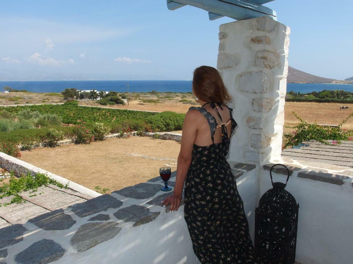 Villa Petradi Ambelas Ngoại thất bức ảnh